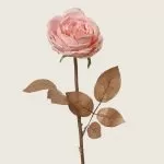 ΤΡΙΑΝΤΑΦΥΛΛΟ ΡΟΖ ΜΕ ΧΡΥΣΟ ΓΚΛΙΤΕΡ 57 cm