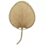 ΔΙΑΚΟΣΜΗΤΙΚΟ ΦΥΛΛΟ ΠΑΛΜΑ 67 X 41 CM