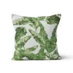 ΜΑΞΙΛΑΡΟΘΗΚΗ ΠΡΑΣΙΝΑ ΦΥΛΛΑ