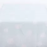 ΡΑΝΝΕΡ ΒΕΡΑΜΑΝ ΜΕ ΛΟΥΛΟΥΔΙ