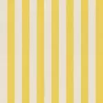 ΥΦΑΣΜΑ ΕΞΩΤΕΡΙΚΟΥ ΧΩΡΟΥ ΡΙΓΕ ΚΙΤΡΙΝΟ