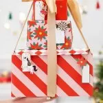 ΕΤΙΚΕΤΕΣ ΚΑΡΥΟΘΡΑΥΣΤΗΣ 4-6.5 x 4-12 cm 12 ΤΜΧ