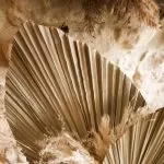 ΦΥΛΛΑ ΠΑΛΜΑ  60 x 30 cm