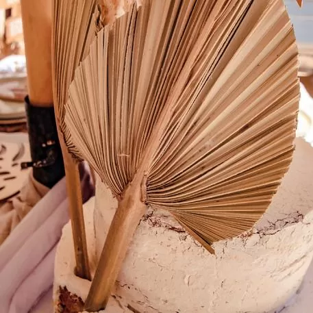 ΦΥΛΛΑ ΠΑΛΜΑ  60 x 30 cm