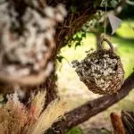 ΚΑΛΑΘΙΑ ΣΕΤ 2 ΤΕΜ