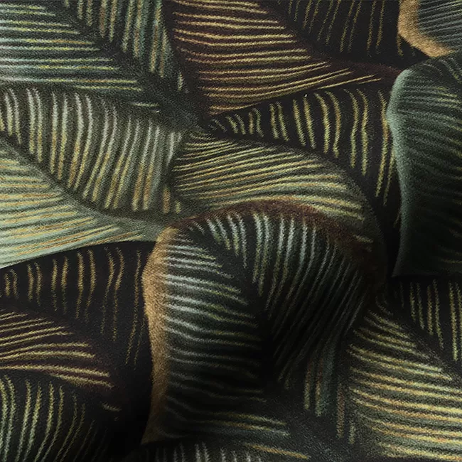 ΒΕΛΟΥΔΟ SCALE LEAF STRUCTURE