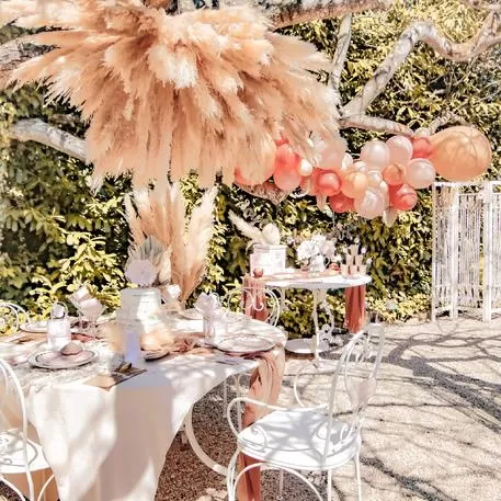 PAMPAS ΕΚΡΟΥ 80 CM   3 ΤΜΧ