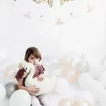 ΜΑΞΙΛΑΡΙ ΚΥΚΝΟΣ 34x35cm