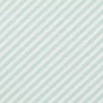 ΥΦΑΣΜΑ ΔΙΑΓΩΝΙΑ ΡΙΓΑ ΒΕΡΑΜΑΝ