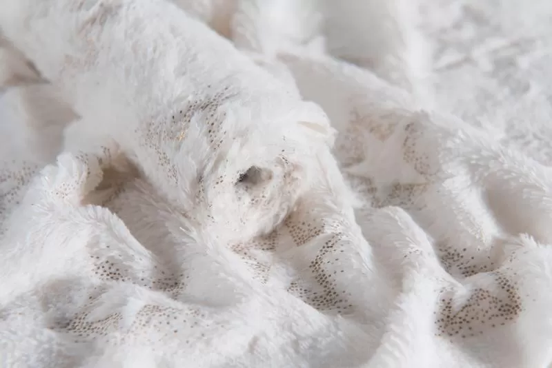 ΡΟΛΟ ΓΟΥΝΑΚΙ ΜΕ ΧΡΥΣΑ ΑΣΤΕΡΙΑ 35cm*2 Μ