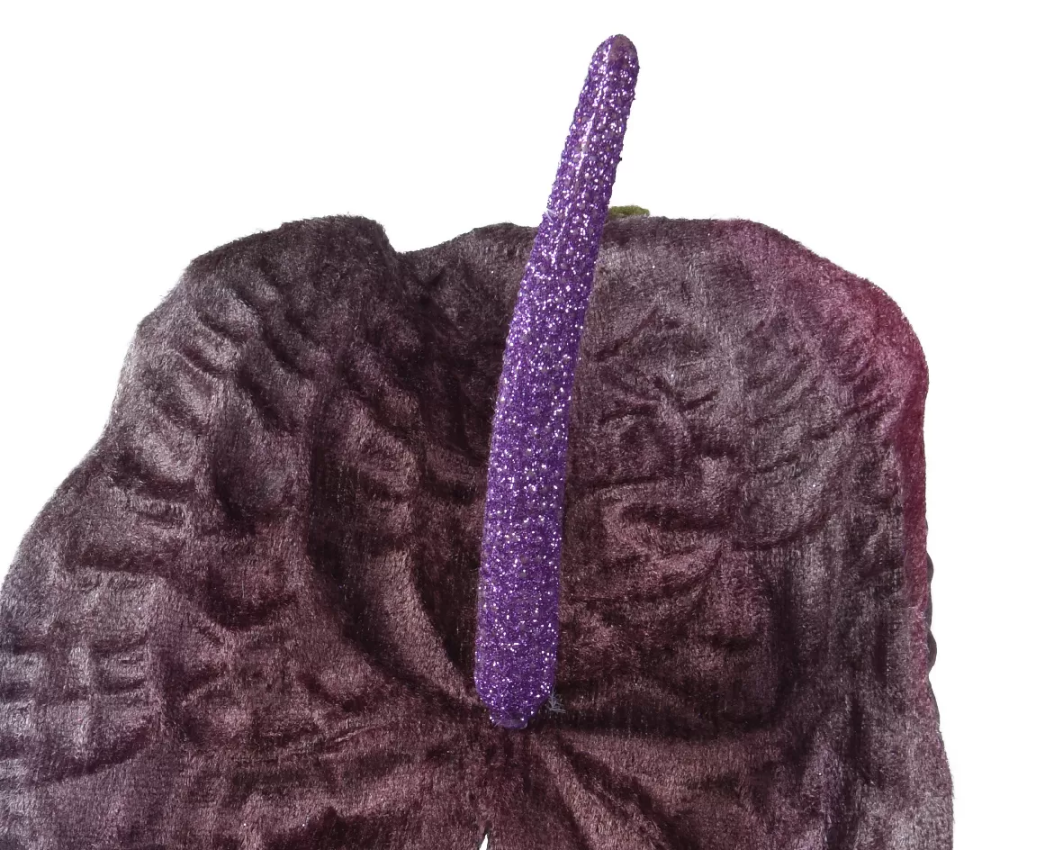 ΑΝΘΟΥΡΙΟ ΜΩΒ 66 cm