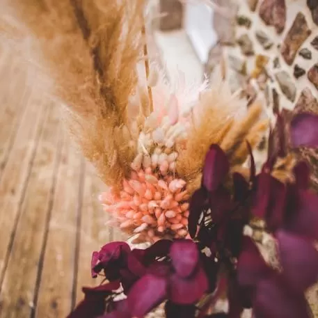 ΓΑΤΑΚΙΑ LAGURUS ΡΟΖ 75CM 50ΤΜΧ