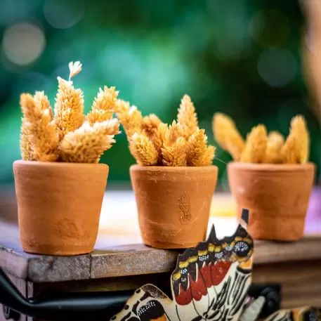 ΠΥΛΙΝΟ ΚΑΣΠΩ 5.5 X 5CM