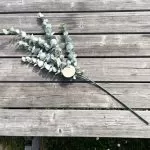 ΜΠΟΥΚΕΤΟ ΕΥΚΑΛΥΠΤΟΣ 83 CM