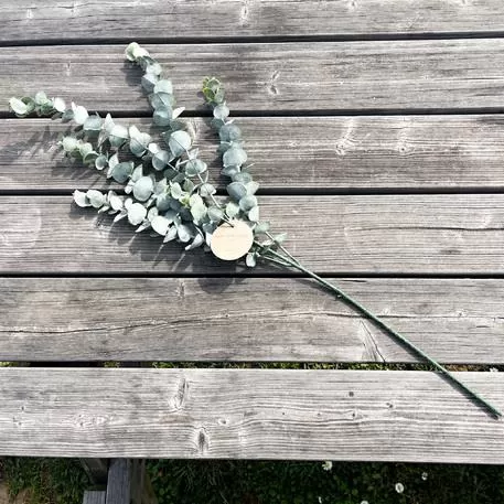 ΜΠΟΥΚΕΤΟ ΕΥΚΑΛΥΠΤΟΣ 83 CM