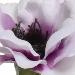 ΑΝΕΜΩΝΗ 57 CM