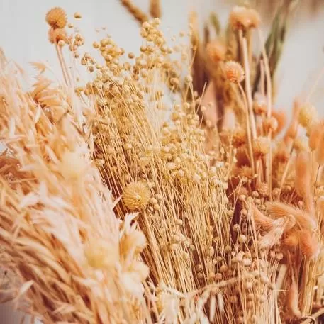 ΑΠΟΞΗΡΑΜΕΝΟ ΛΙΝΑΡΙ 50GR – 60CM