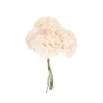 6 ΟΡΤΑΝΣΙΕΣ 10cm