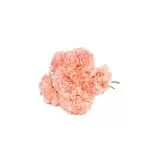 6 ΟΡΤΑΝΣΙΕΣ ΡΟΖ 10x8cm