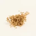 ΑΠΟΞΗΡΑΜΕΝΟ ΛΙΝΑΡΙ