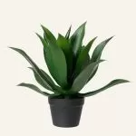 Τεχνητό φυτό αλόης σε γλάστρα 50cm