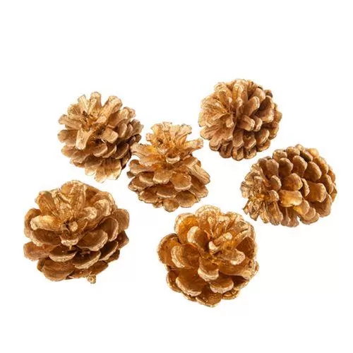 6 κουκουνάρια ματ χρυσό περίπου 5 cm