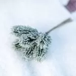 6 κλαδιά έλατου πράσινα με ιριδίζον γκλίτερ 14.5 cm