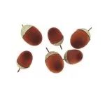 6 βελανίδια βελούδινα κεχριμπαρί με χρυσό γκλίτερ 3 – 4.5 cm