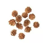 12 Κουκουνάρια Χρυσά 2 cm