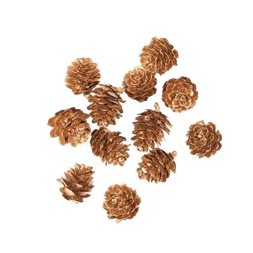 12 Κουκουνάρια Χρυσά 2 cm