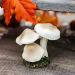 3 μανιτάρια σε βάση με βρύα Ø7 x 14 cm