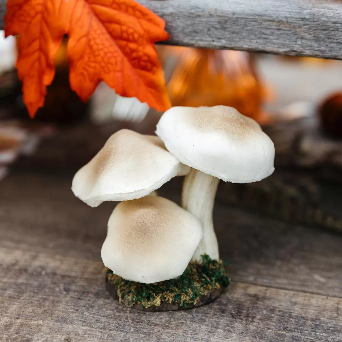 3 μανιτάρια σε βάση με βρύα Ø7 x 14 cm