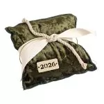 ΜΑΞΙΛΑΡΙ ΜΕ ΧΡΟΝ. Βελούδο Λαδί Frozen